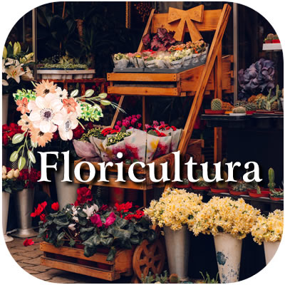 Floricultura em Barra Mansa